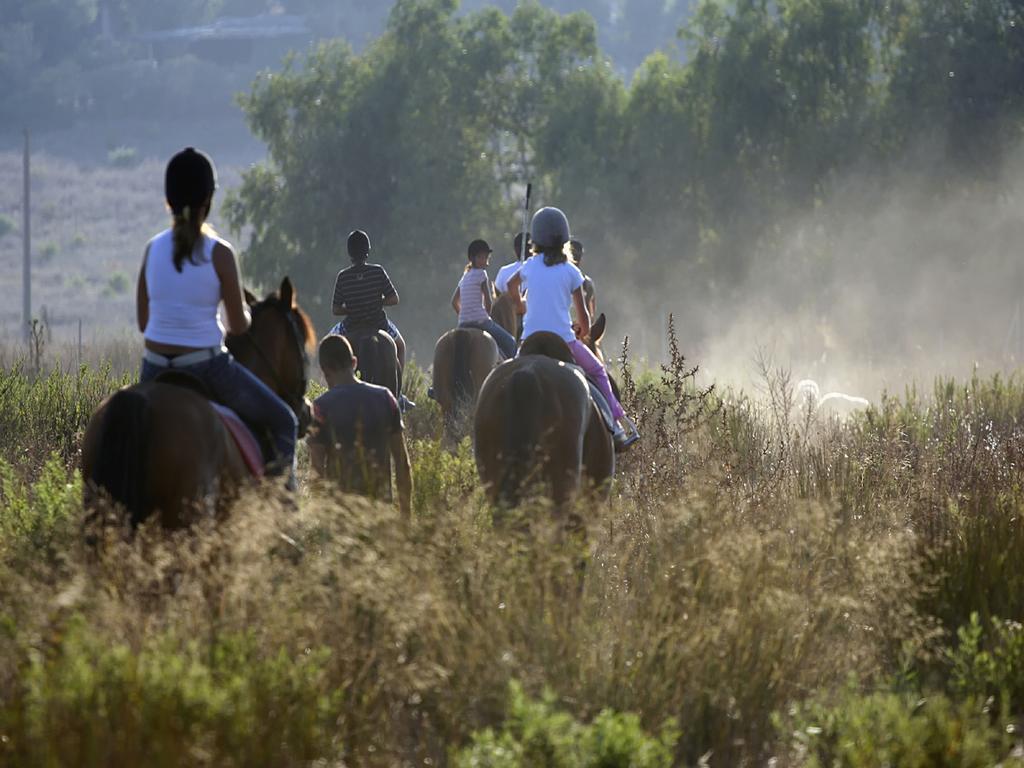 Warmia Park Ξενοδοχείο Όλστυν Εξωτερικό φωτογραφία
